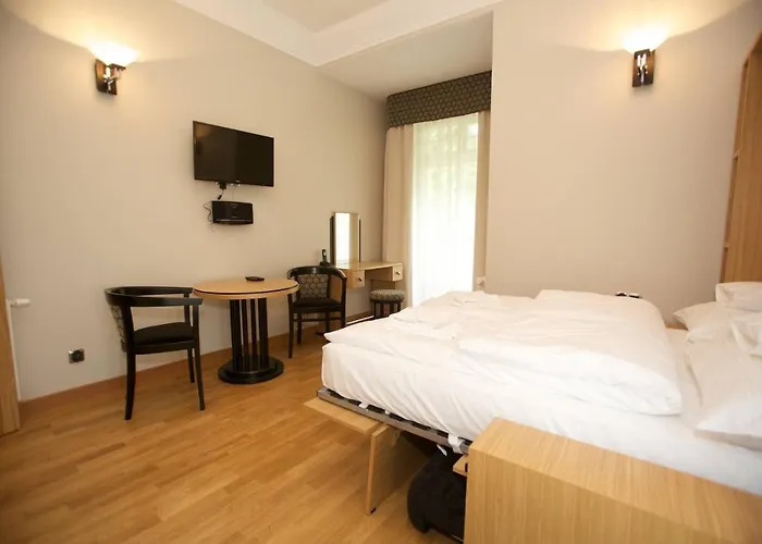 Alina Medical Penzion 4*